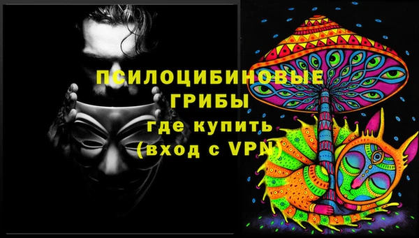 тгк Балахна